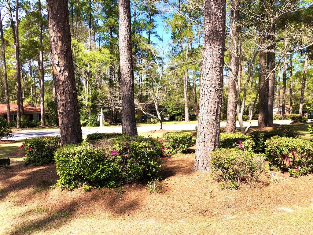 1409 10th St SE, Moultrie, GA 31768